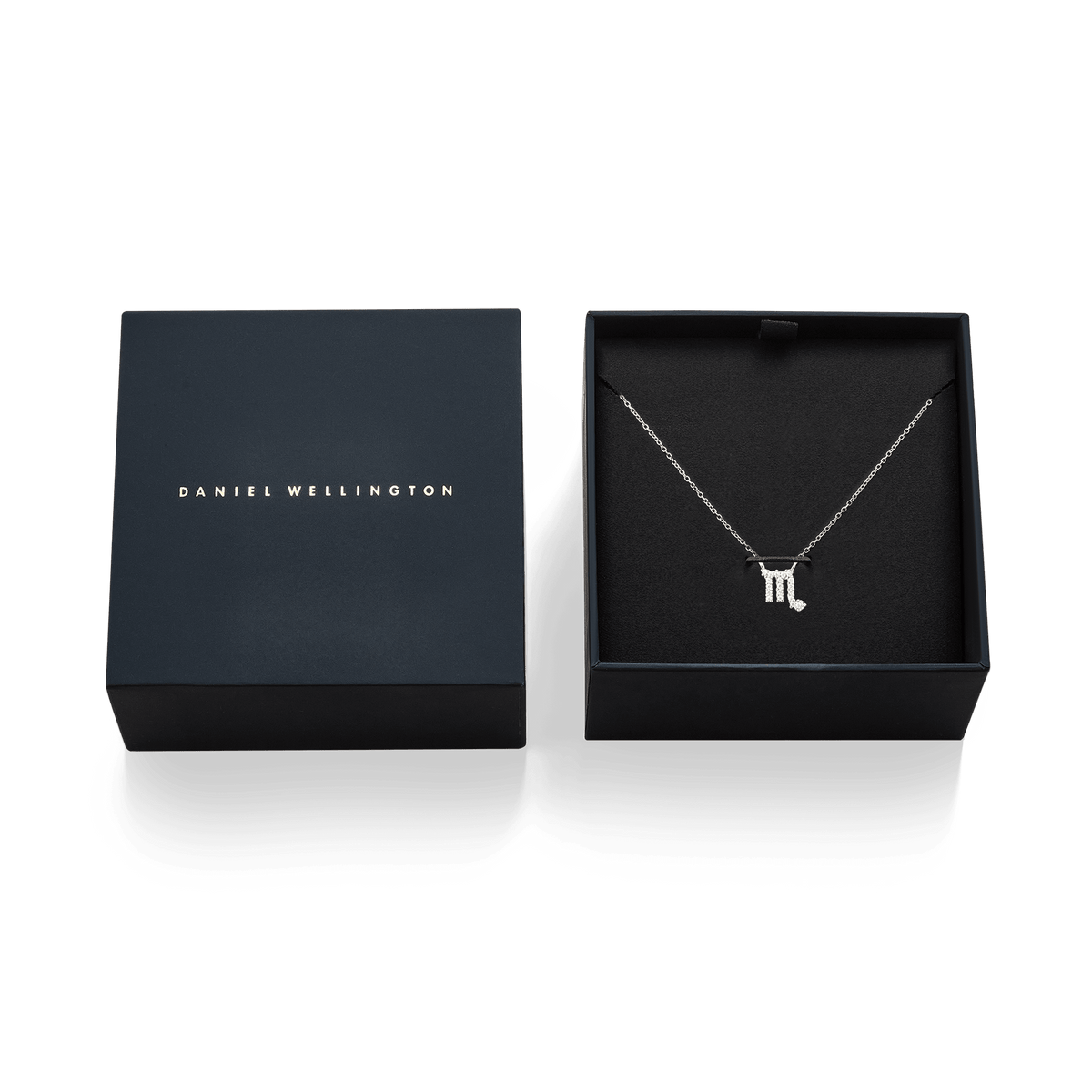 Crystal Zodiac Zincir Silver Renk Kolye