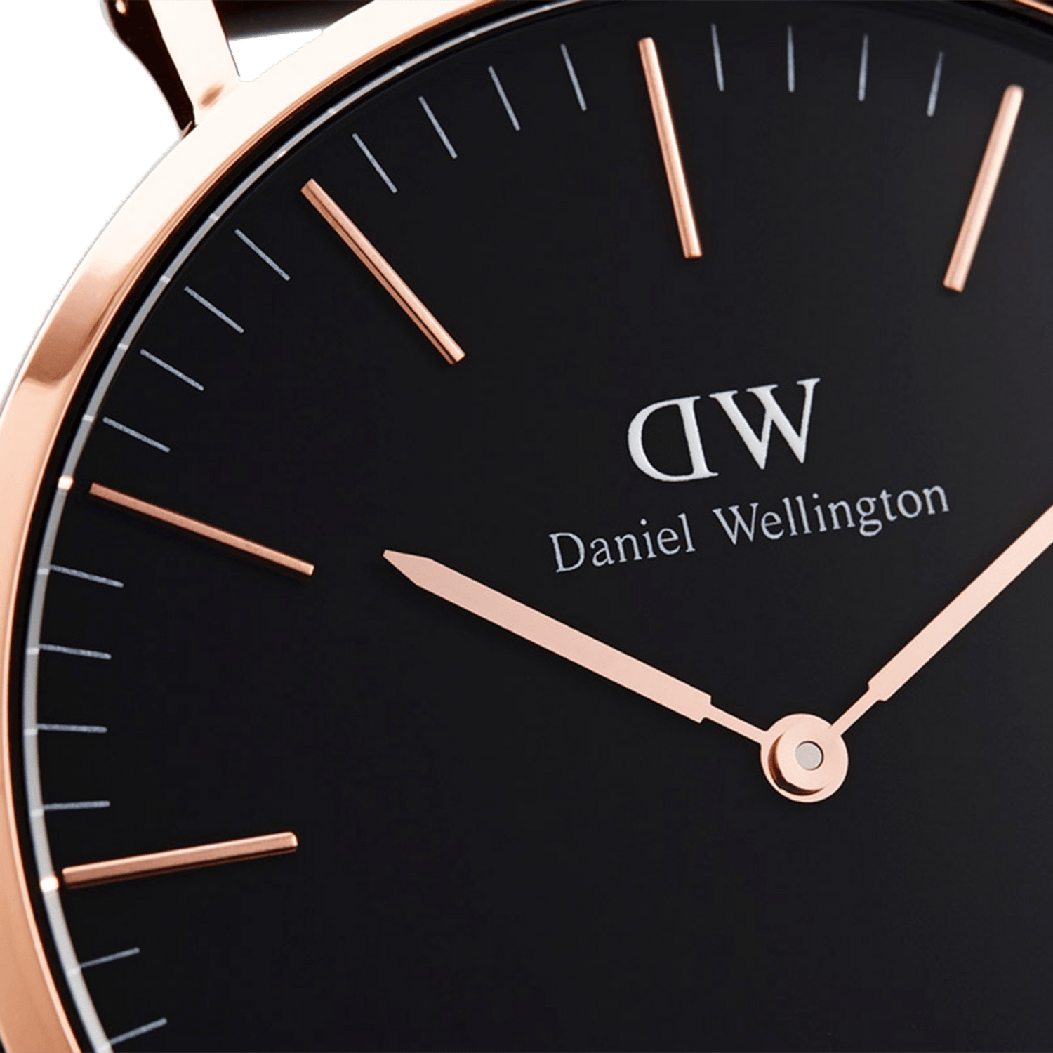 Daniel sales wellington roselyn
