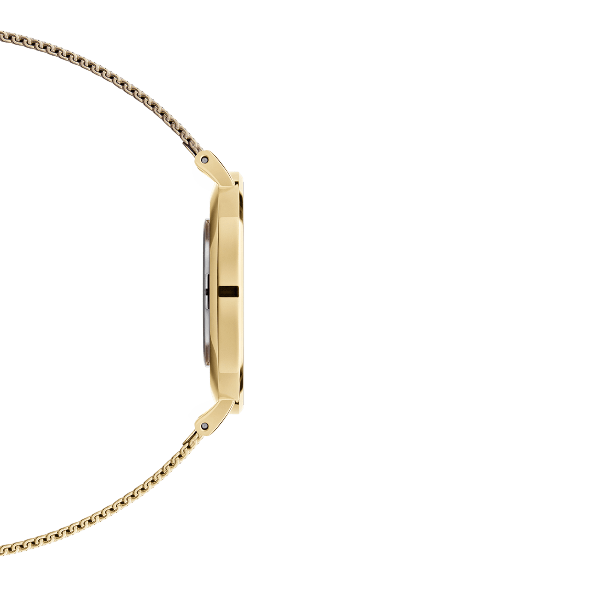 MINI 24/24 21CM IN OFF WHITE EVERCOLOR CALFSKIN GOLD KELLY BUCKLE