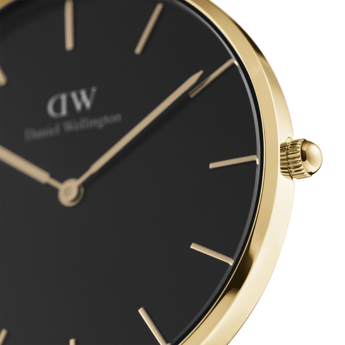 Petite Link Evergold Gold Kad n Saat DW