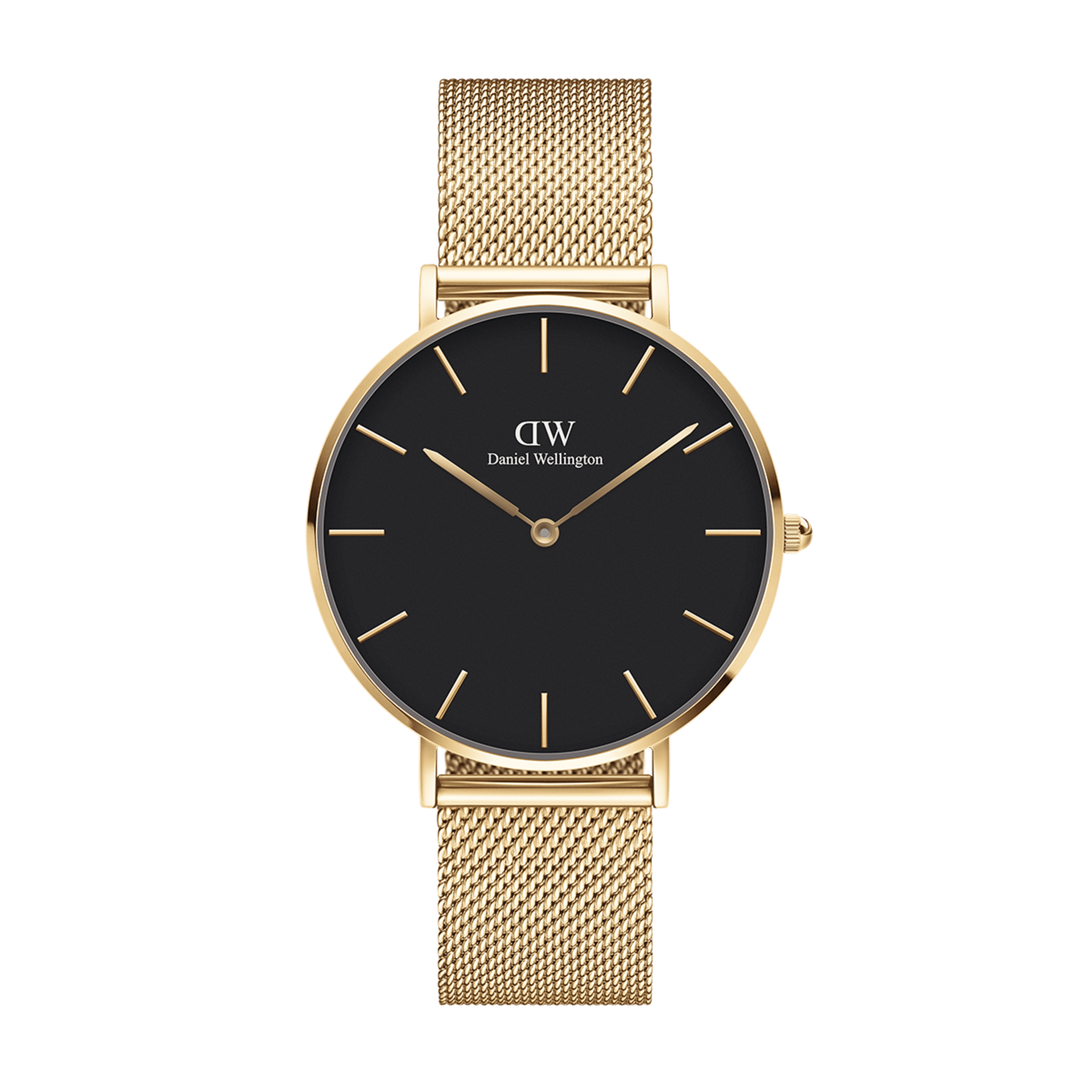 Petite Link Evergold Gold Kad n Saat DW