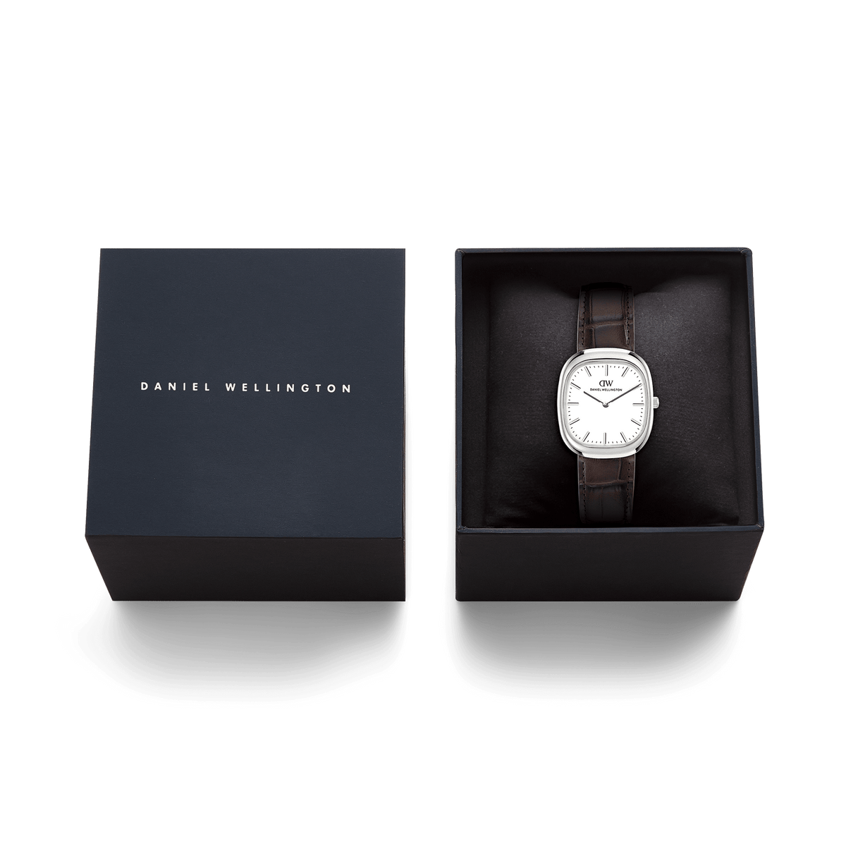 Cort Brown Leather Silver
