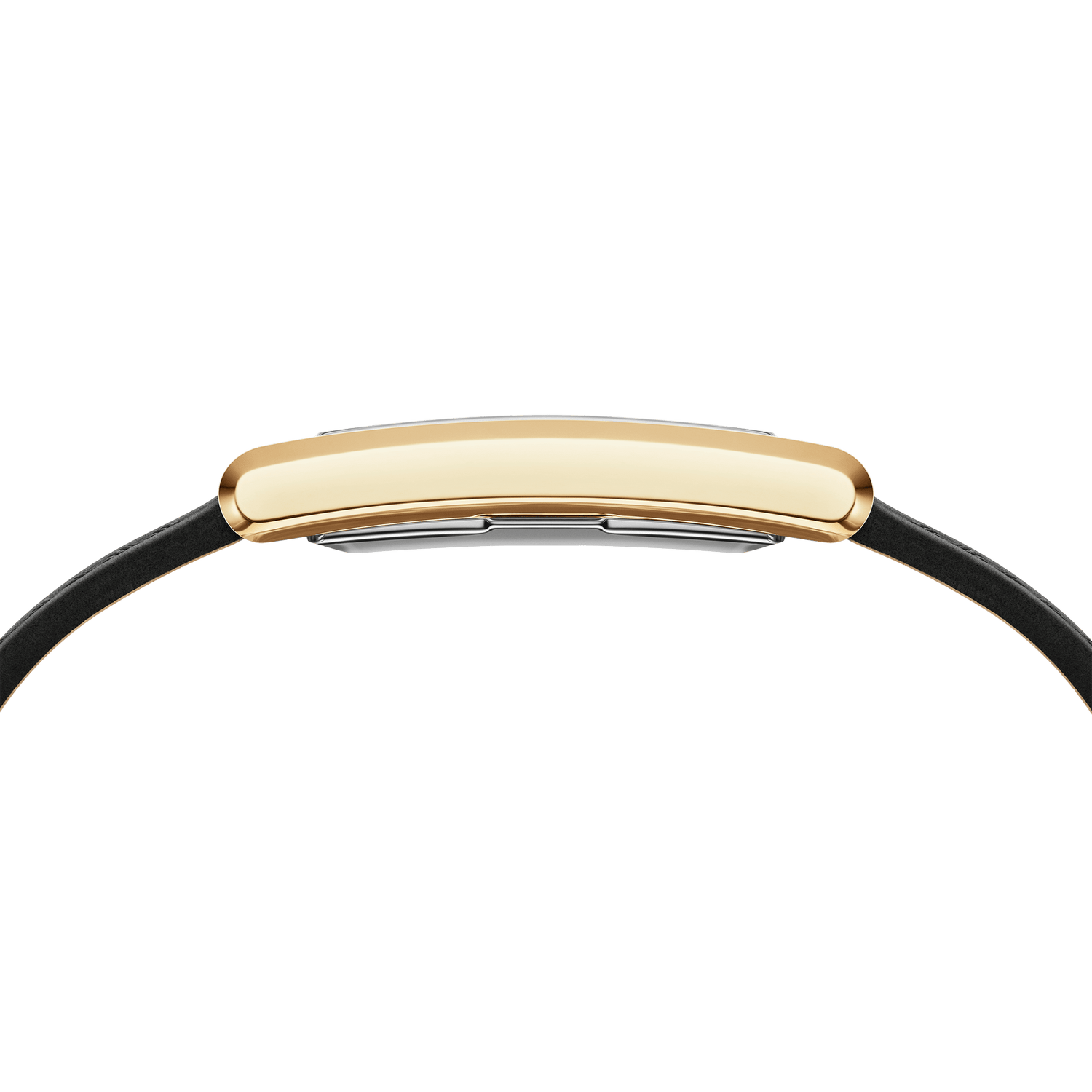 Bound Black Crocodile Gold