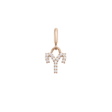 Zodiac Watch Charm Rose Gold